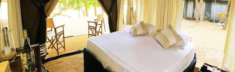 Leopard Trails Yala Hotel Kültér fotó